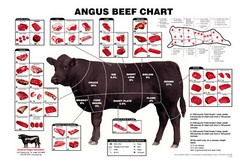 Angus Beef Cuts Poster Art Metal Print Choose a Size 8″x12″ 12″x16″ Sign Meat