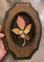 3D Mushroom & Leaf Wood Wall Art Plaques Set 2 MCM Nature Metal Decor 7x5x1 Vtg