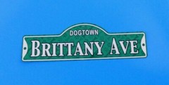 Dogtown – Brittany Ave ~ Laminated Plastic Dog Street Sign ~ New