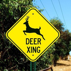 Deer Xing Sign 12″x12″ Aluminum Crossing Warning – Rustproof & Fade-Resistant