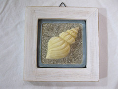 Sea Shell Seashell Wall Plaque Set of 3 Coastal Beach Decor