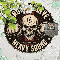 Heavy Metal Skull Emblem Circular Badge Arc Metal Wall Decor 8×8