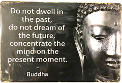 TIN SIGN new 8×12 Buddha wisdom Chinese wise man philosopher dream future C29
