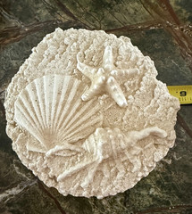 Seashell Wall Plaque Starfish Shells 8 1/2 x 9″ Cast Stone Cement Coastal Decor