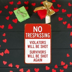 Tin Metal Sign No Trespassing Warning Yard Violators will be shot 8×12