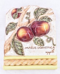 Amscan Home Apple Ceramic 3D Plaque Wall Decor