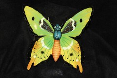 BUTTERFLY, Home Accents, Garden Decor, Collectibles, Christmas Gifts, BTR -3