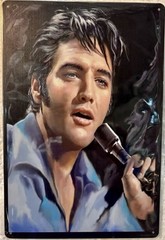 TIN SIGN 8×12 Elvis Presley Famous Iconic Singer Actor Dancer Music Movies DD7