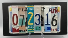 Custom License Plate Pieces Wood Mounted Decor Display Art 07-23-16