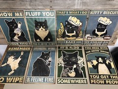 8 Different Humorous Cat Posters 8×12 Wall Poster For Decorating YOUR CHOICE