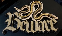 NEW SNAKE BEWARE SIGN WALL HANG DECOR LARGE WOOD PAGAN WITCH MEDUSA SPIRIT DISC.