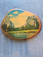 Vintage Decoupage Yosemite Lake Mountains Trees Wall Plaque 7×9