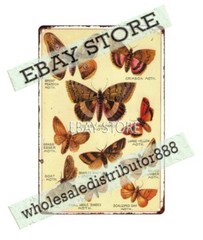 1900 Chase Sanborn Coffee Booklet Of Butterflies of America metal tin sign