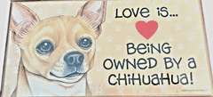 Love Is Being Owned By A Chihuahua Paw Prints Wall Sign 5″ X 10″ Jute Rope