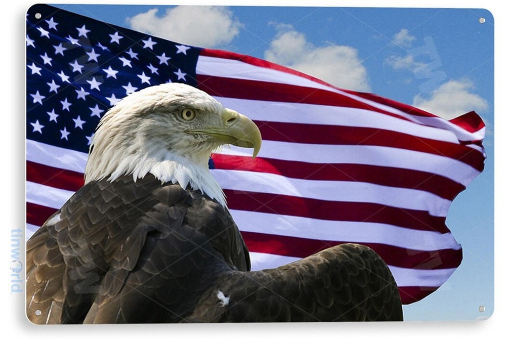 TIN SIGN Eagle Wind Bald American Stars Stripes Metal Décor Art Patriotic A350