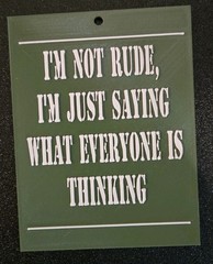 Green Plastic Hanging Sign “I’m Not Rude I’m Just Saying What Everyone Thinks”