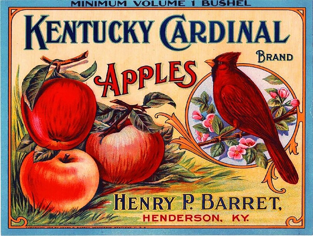 Vintage Kentucky Cardinal Apples Label Reproduction Metal Sign FREE SHIPPING