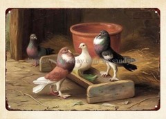 vintage wall art Edgar Hunt (1876-1953) Pigeons 19th Century art metal tin sign