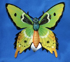 BUTTERFLY, Home Accents, Garden Decor, Collectibles, Christmas Gifts, BTR -3