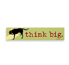 NEW Think Big Decorative Wooden Sign w/ dog & stick 16×3.5 in. green Dog Is Good