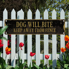 Retro “Dog Will Bite” Tin Sign Weatherproof Yard & Fence Warning Security Plaque