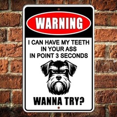 Beware Of Dog Can Have Teeth In Your Ass In .3 Seconds Keep Out Metal Sign Decal