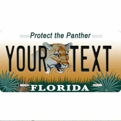 FLORIDA Protect the Panther personalized custom license plate Tag Any Text Name