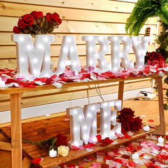 Roowest Marry Me Letters Light Proposal Decorations Set Includes 7 LED 6.3″ X 5.